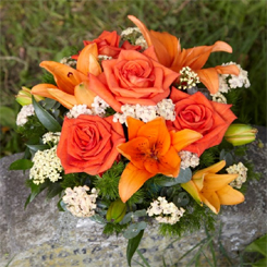 Orange Posy