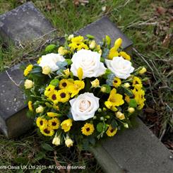 Yellow and White Posy