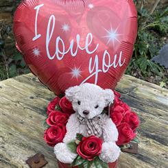I Beary Love You!