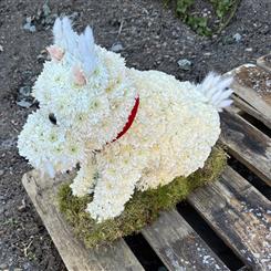 3D Dog