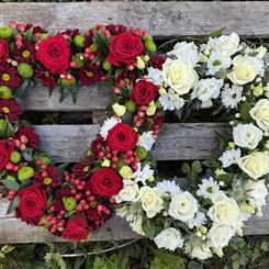 Double Open Heart