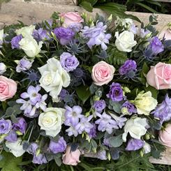 Rose &amp; Freesia Casket Spray